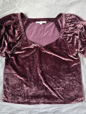 LOFT Velvet Puff Sleeve Feminine Romantic Whimsical Fairy Sweetheart Top - Plum